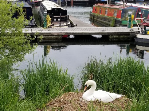 20180516_164258 (1024x768)