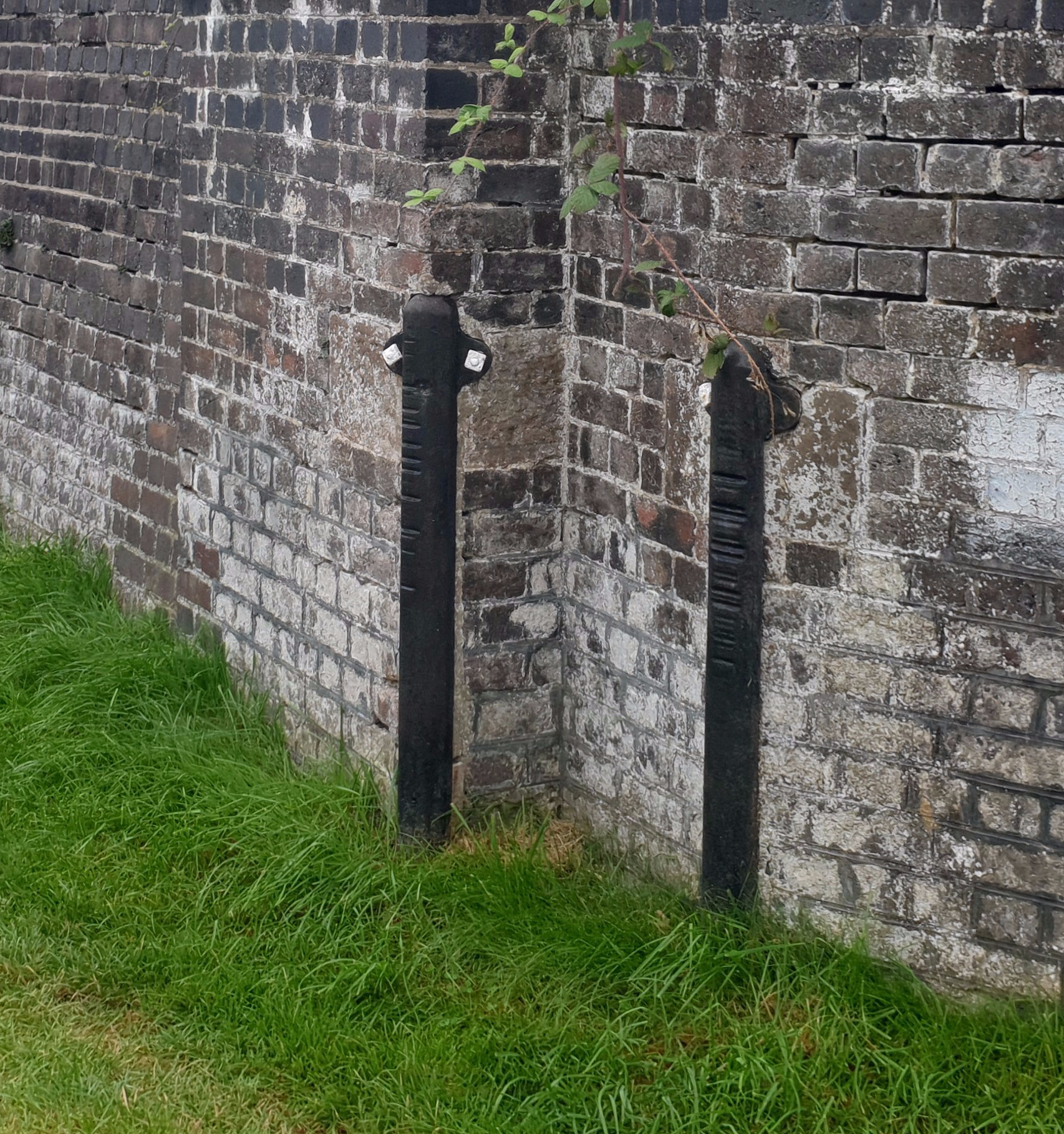 20190903_105028 - Copy