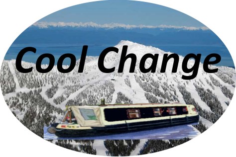 Cool Change Vinyl Wrap2